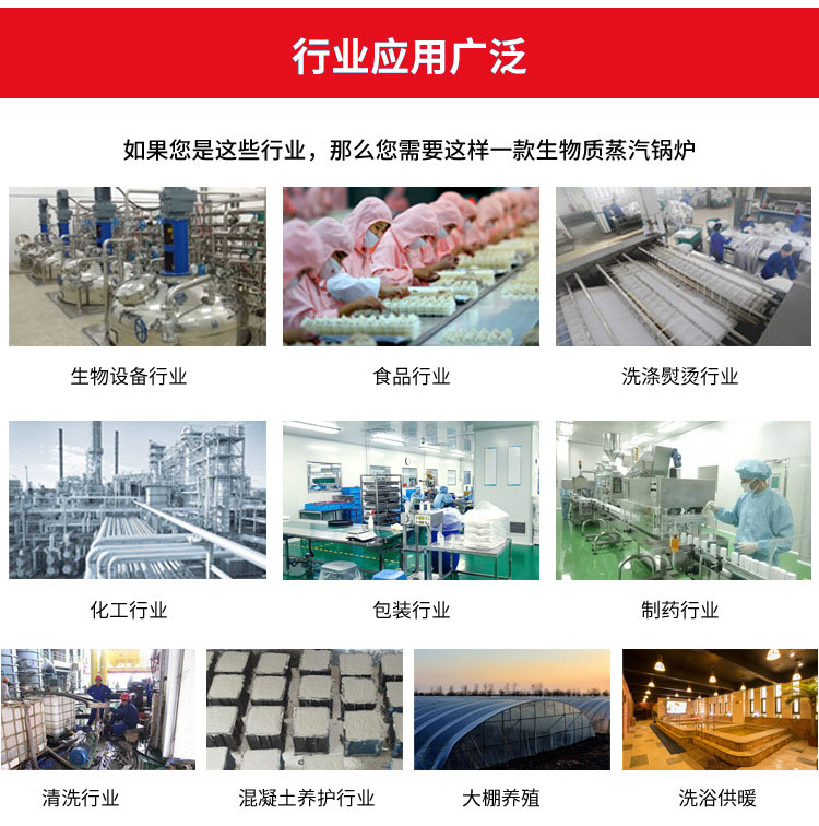 生物質(zhì)蒸汽發(fā)生器生產(chǎn)廠家 生物質(zhì)蒸汽發(fā)生器生產(chǎn)廠家